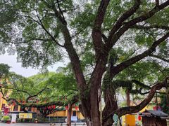 -桂林独秀峰王城景区