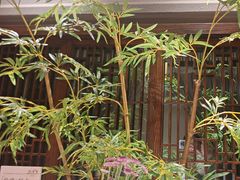 -飶香居(省博物馆店)