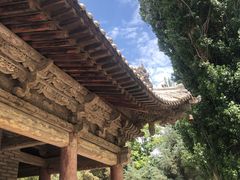 -张掖大佛寺景区