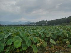 -古田会议纪念馆