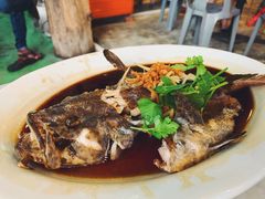 清蒸石班-大树下海鲜饭店