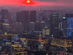 -金轩中餐厅 Jin Xuan(浦东丽思卡尔顿酒店)