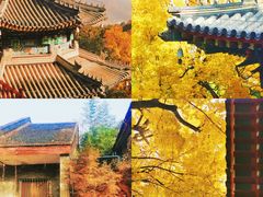 -香山公园
