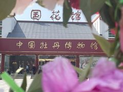 -曹州牡丹园