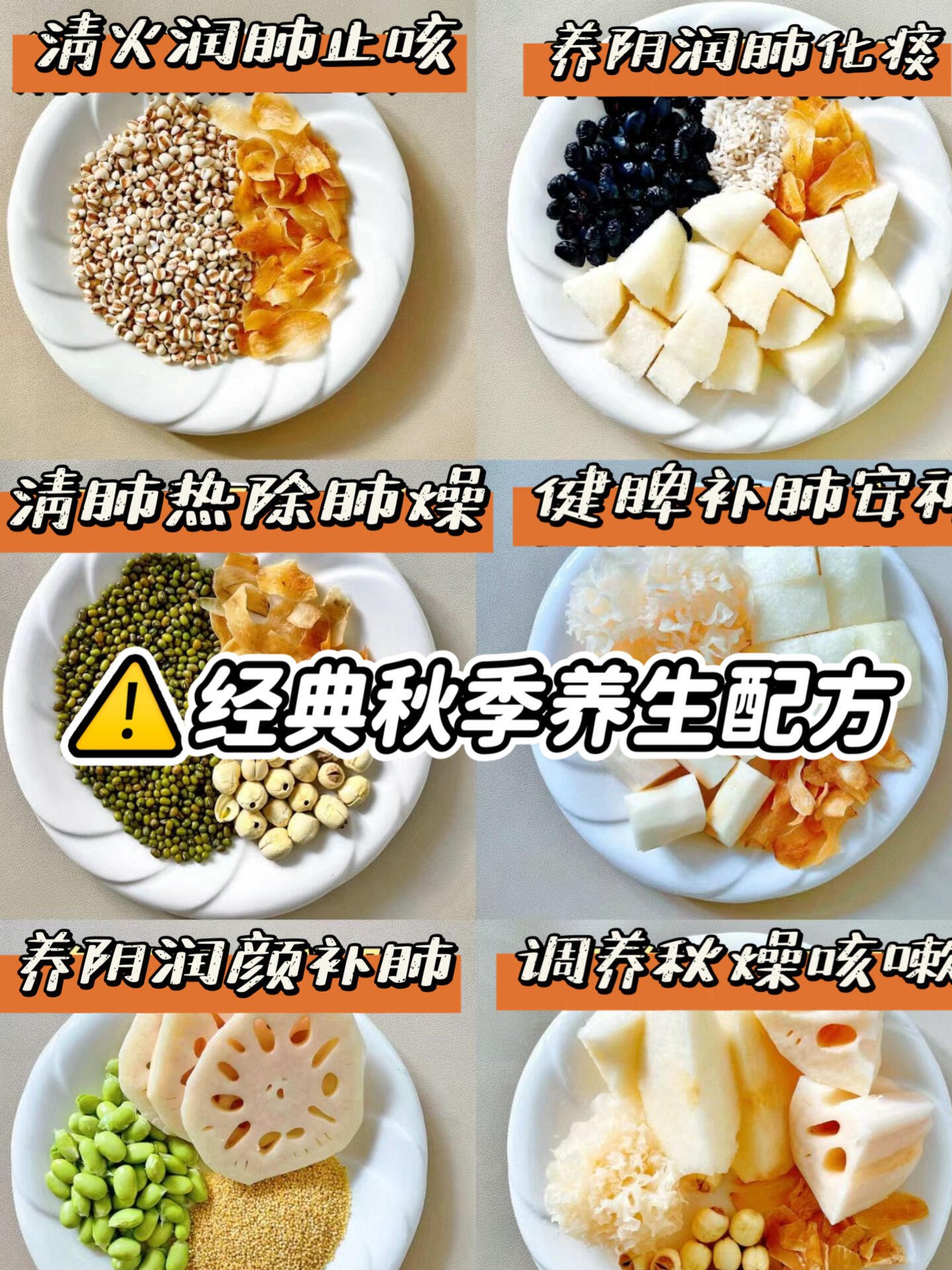 养生食疗菜谱及做法视频(养生食疗菜谱及做法视频讲解)