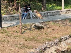 -白水寺森林公园