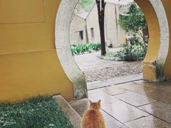 -西园戒幢律寺