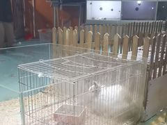 -嘉兴海底世界