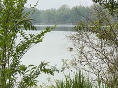 -翠湖国家城市湿地公园