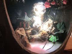 -哈吱喂丽江火塘·牦牛火锅(五一街店)