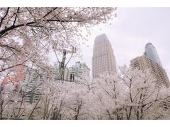 -西北湖绿化广场