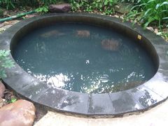 -三亚珠江南田温泉度假区