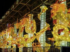 -武汉园博园(武汉自然博物馆)