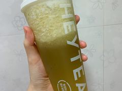 多肉玫珑瓜-喜茶(中山白水井店)