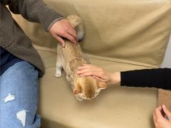 -宠颐生中康贝怡动物医院