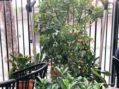 -湘邻呷铺·田园家宴(汉基广场店)