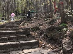 -帽儿山风景区