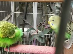 -大龙山(地铁站)