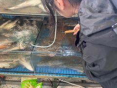 -前王院•巧克力海鲜市集餐厅(万平口店)