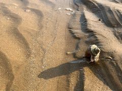 -青岛银沙滩