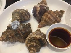 白灼花螺-莆鑫海鲜城(浏河店)