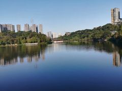 -重庆彩云湖湿地公园