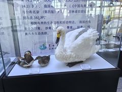 -吉林省自然博物馆