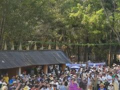 -西双版纳傣族园