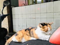 -章云板鸭(总店)