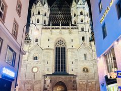 -斯蒂芬主教座堂(Stephansdom)