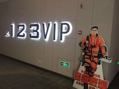 -汉阳天河电影城(王家湾店)