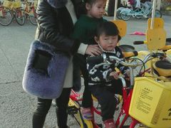 -瑶湖郊野森林公园