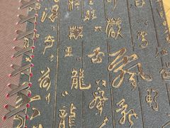 -傣乡之味·傣族特色手抓饭·孔雀宴(大理古城首店)