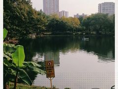 -晓港公园