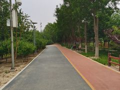 -大兴滨河森林公园