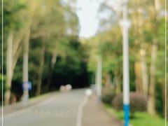-火炉山森林公园