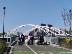 -长白岛森林公园