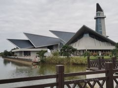-盐城丹顶鹤湿地生态旅游区