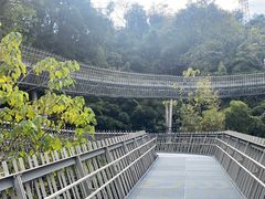 -福道