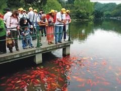 -西湖外事游船(花港观鱼码头)