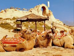 -镇北堡西部影城