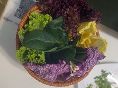 -洪氏嗨捞·猪肚鸡火锅(阳光天地店)