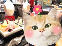 -青岛富力艾美酒店