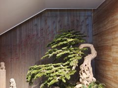 -小辣椒·桂林本地菜(鸿运店)