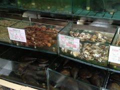 水产区-海岛渔村大酒店(云霄路店)