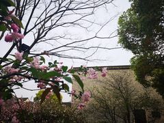 -茅盾纪念堂