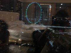 -新加坡文华东方酒店