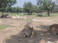 -西安秦岭野生动物园