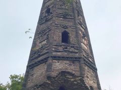 -上海佘山国家森林公园天马山园