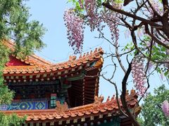 -北京国子监胡同